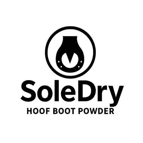 SoleDry